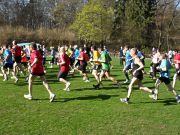 Naumburger Waldlauf