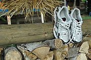 Lauftreff im Burgenlandkreis